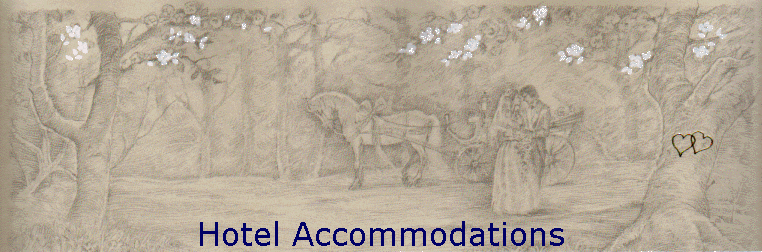 Hotel Accommodations