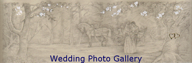 Wedding Photo Gallery