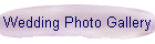 Wedding Photo Gallery